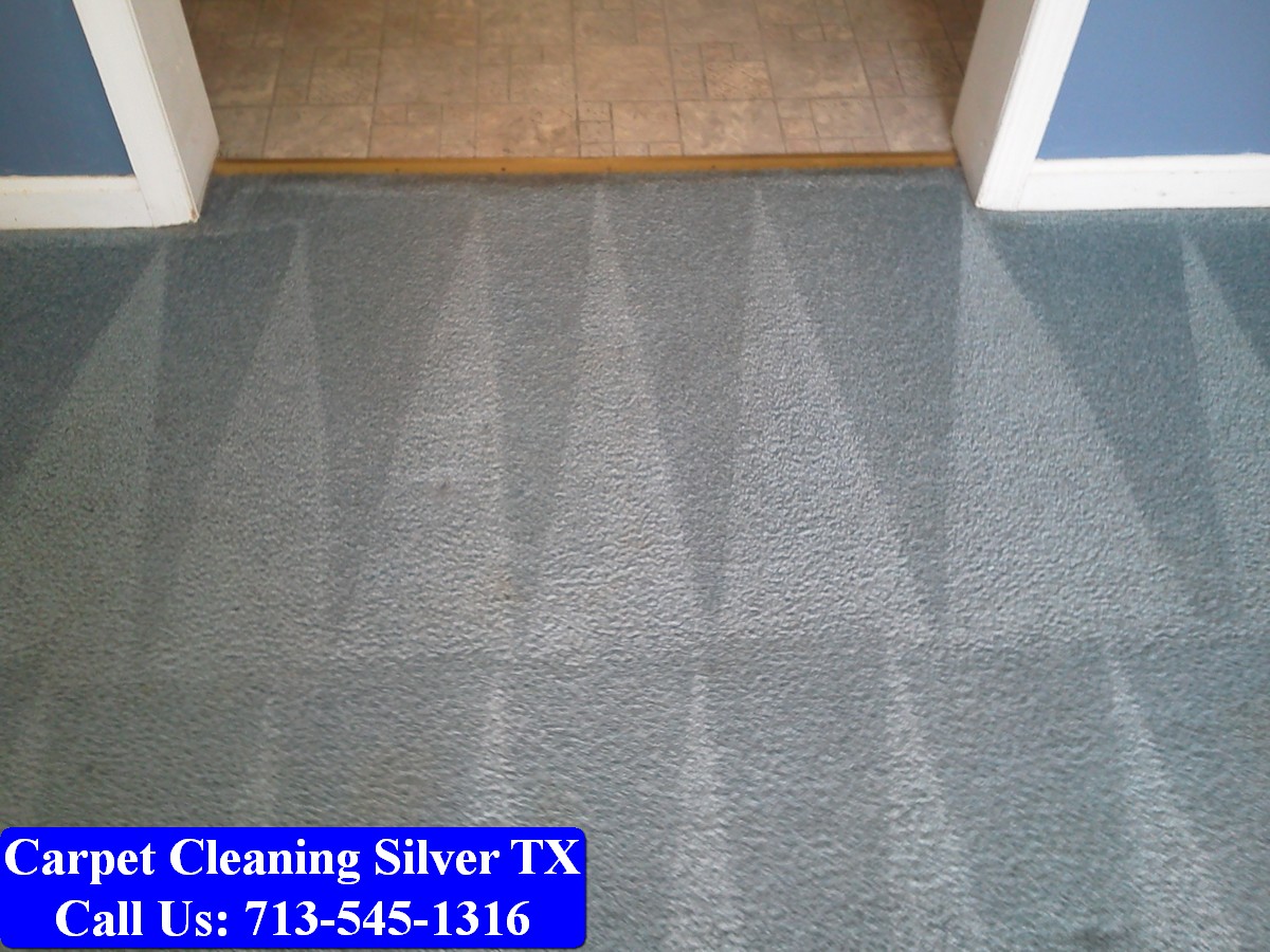 Carpet Cleaning Silver tx 052