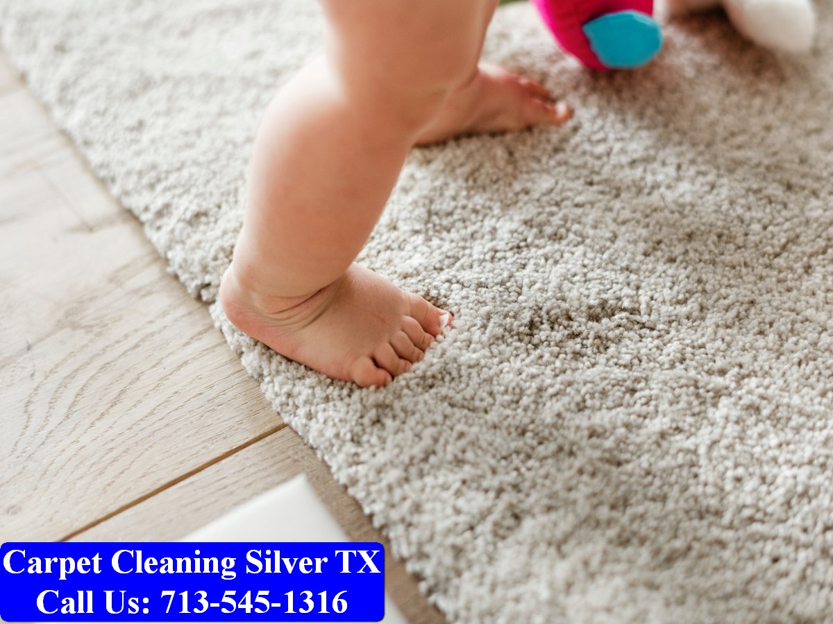 Carpet Cleaning Silver tx 005