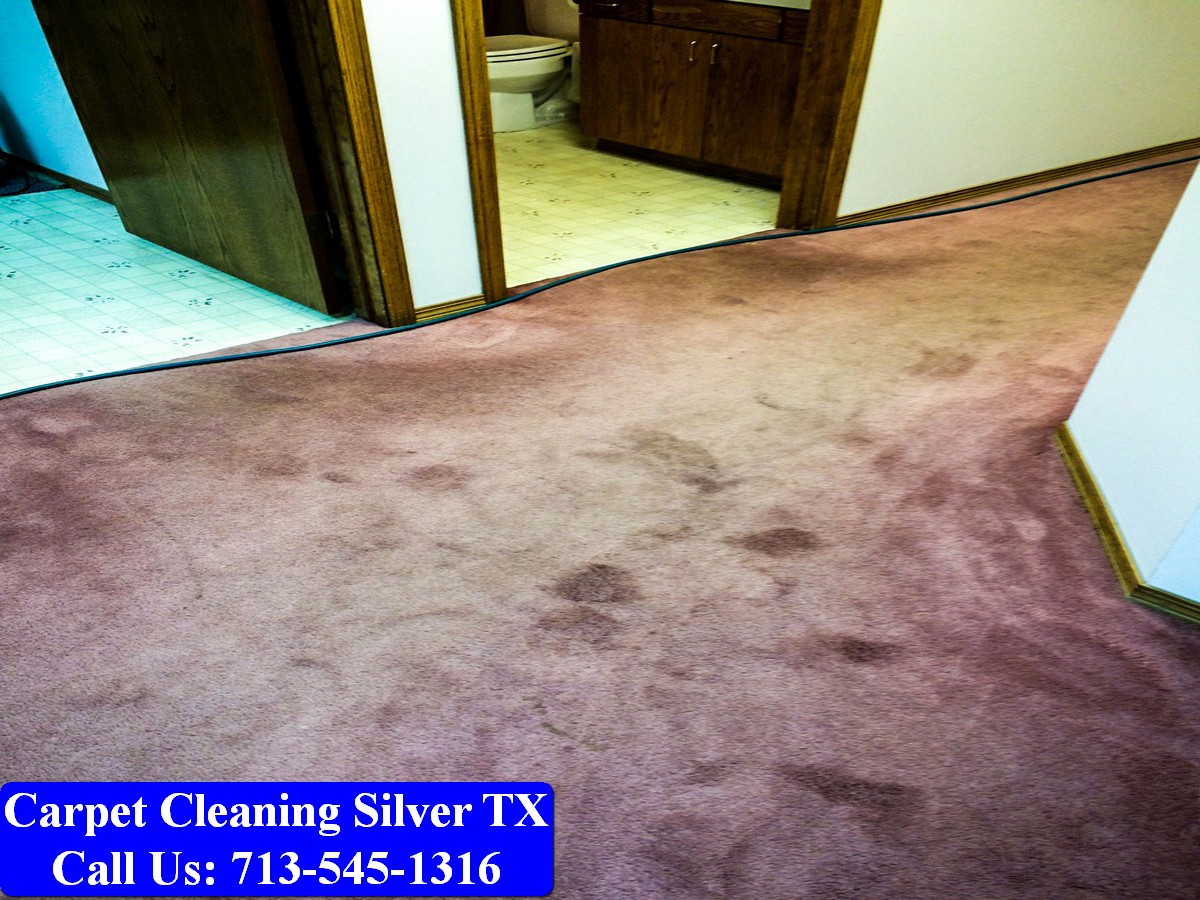 Carpet Cleaning Silver tx 050