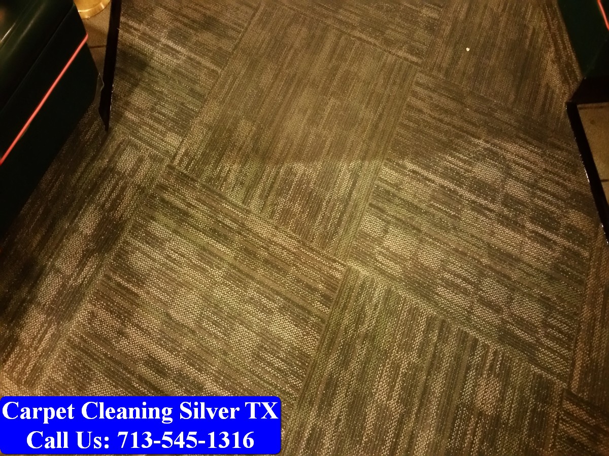 Carpet Cleaning Silver tx 041