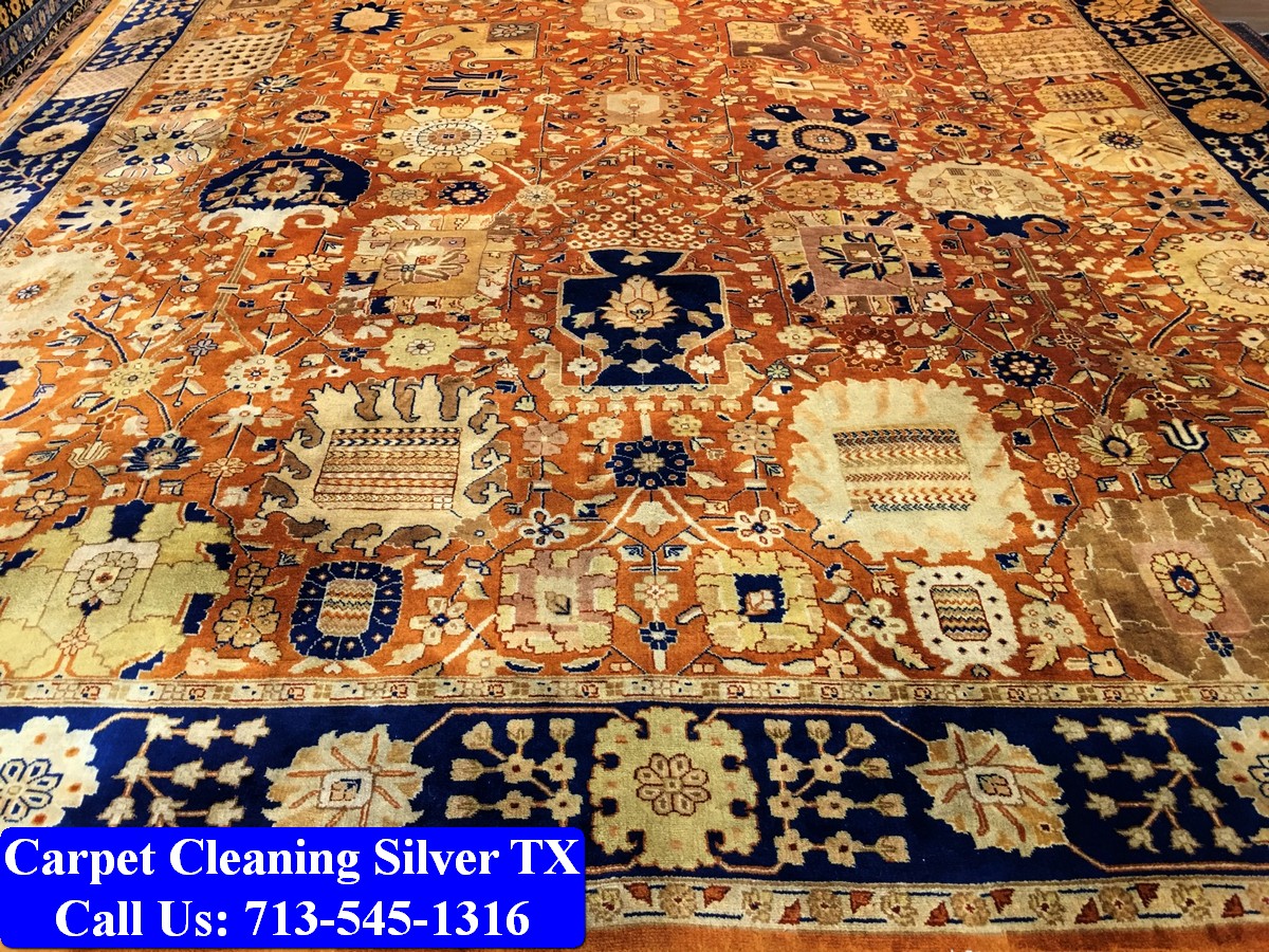 Carpet Cleaning Silver tx 029