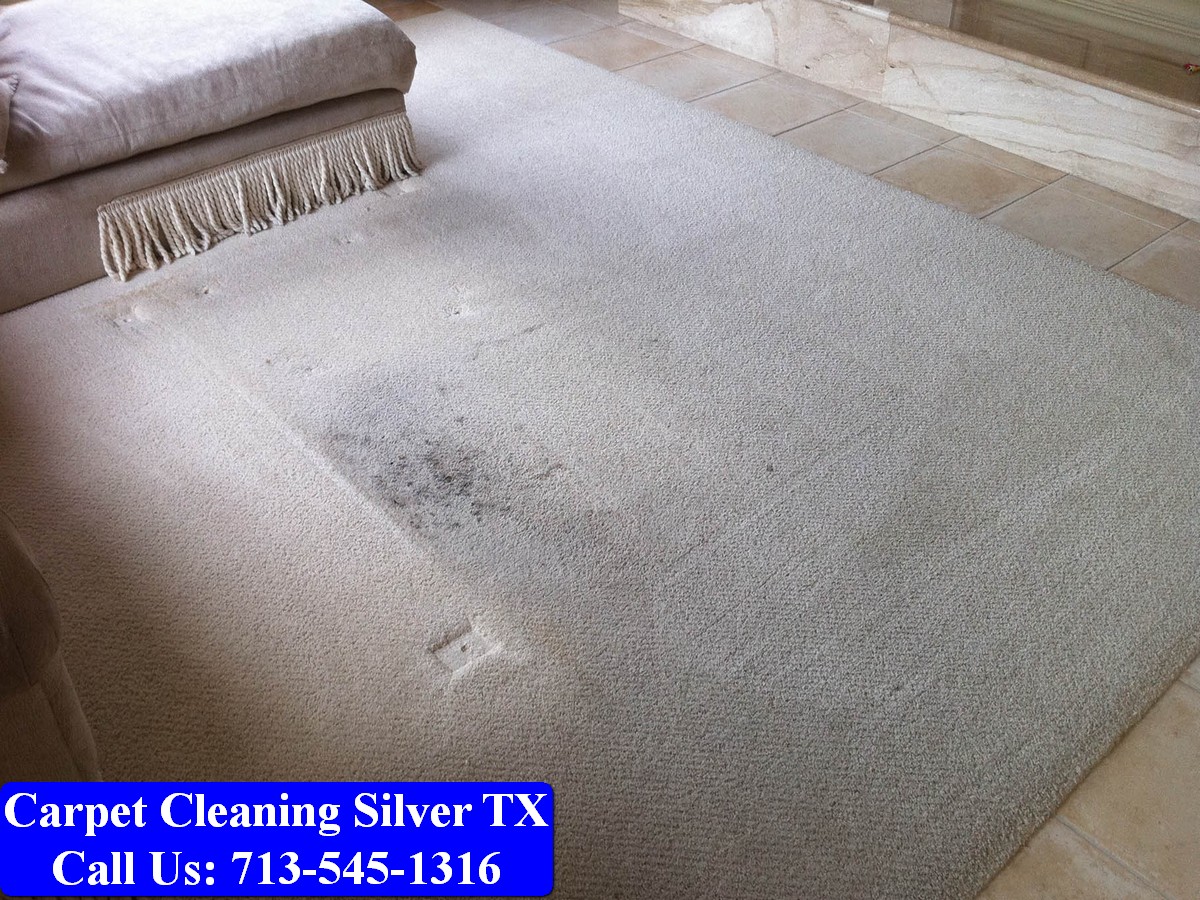 Carpet Cleaning Silver tx 002