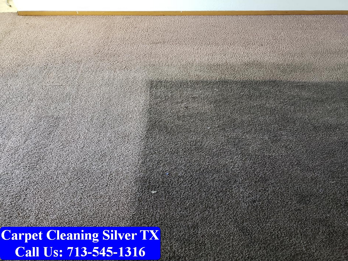 Carpet Cleaning Silver tx 007