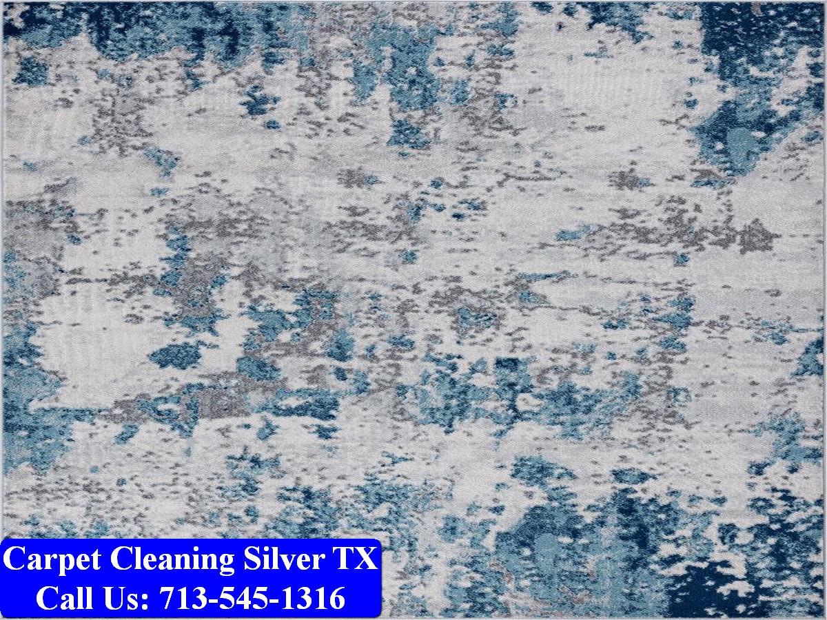 Carpet Cleaning Silver tx 028