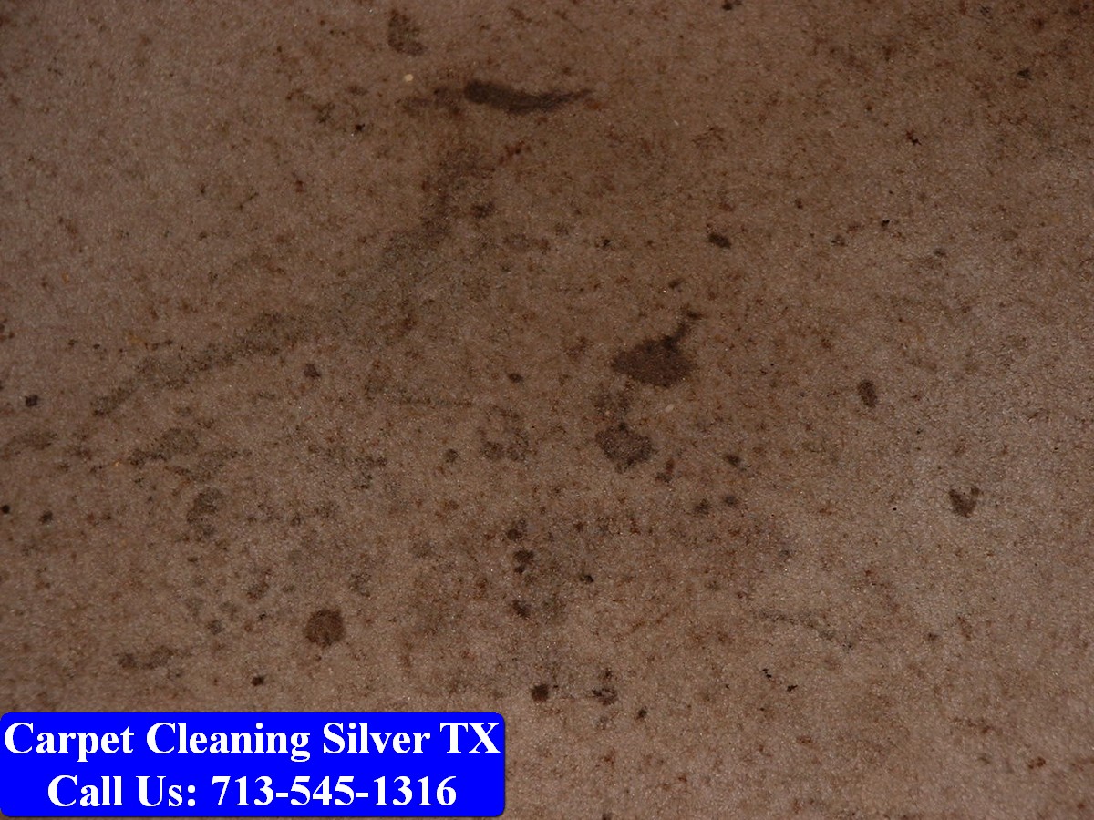 Carpet Cleaning Silver tx 032
