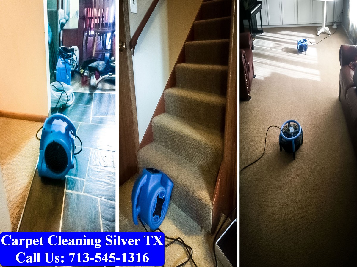 Carpet Cleaning Silver tx 054