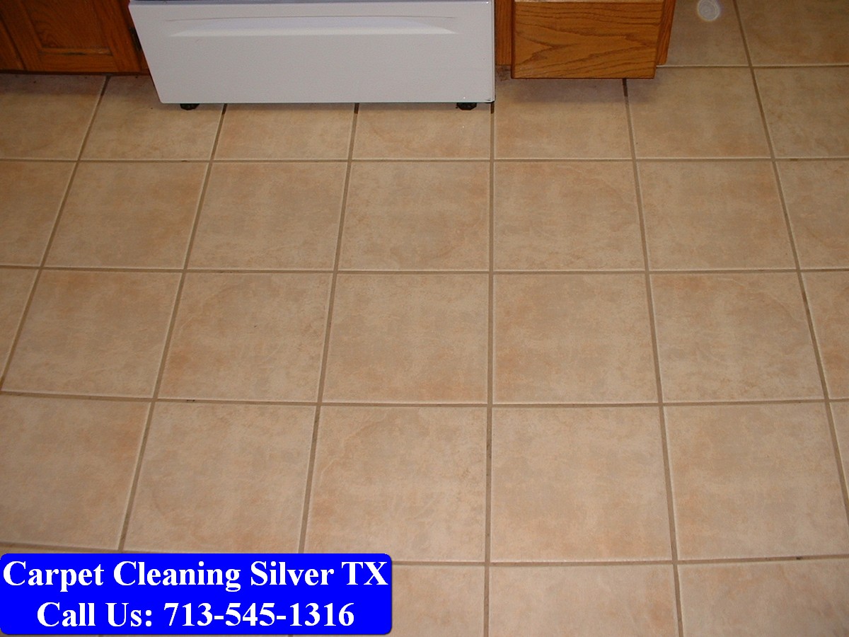 Carpet Cleaning Silver tx 062
