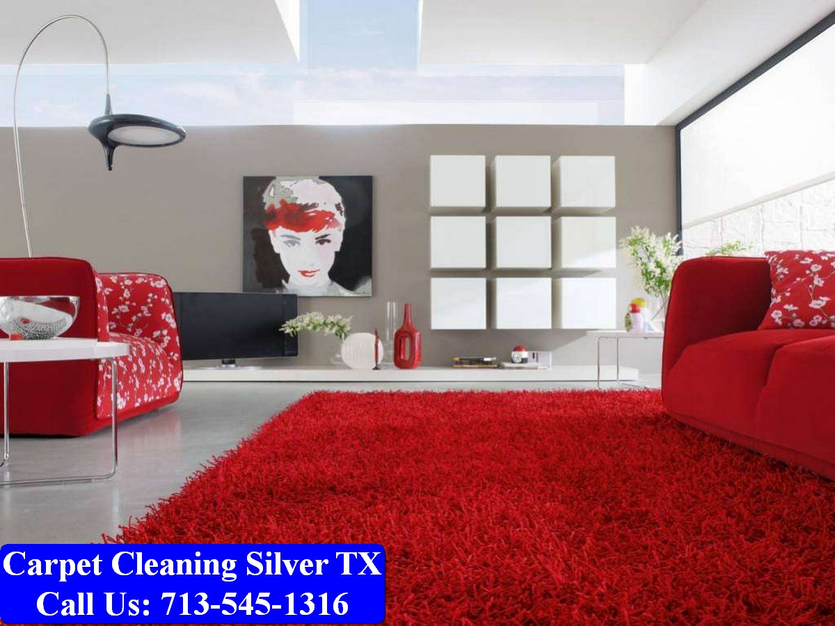 Carpet Cleaning Silver tx 001