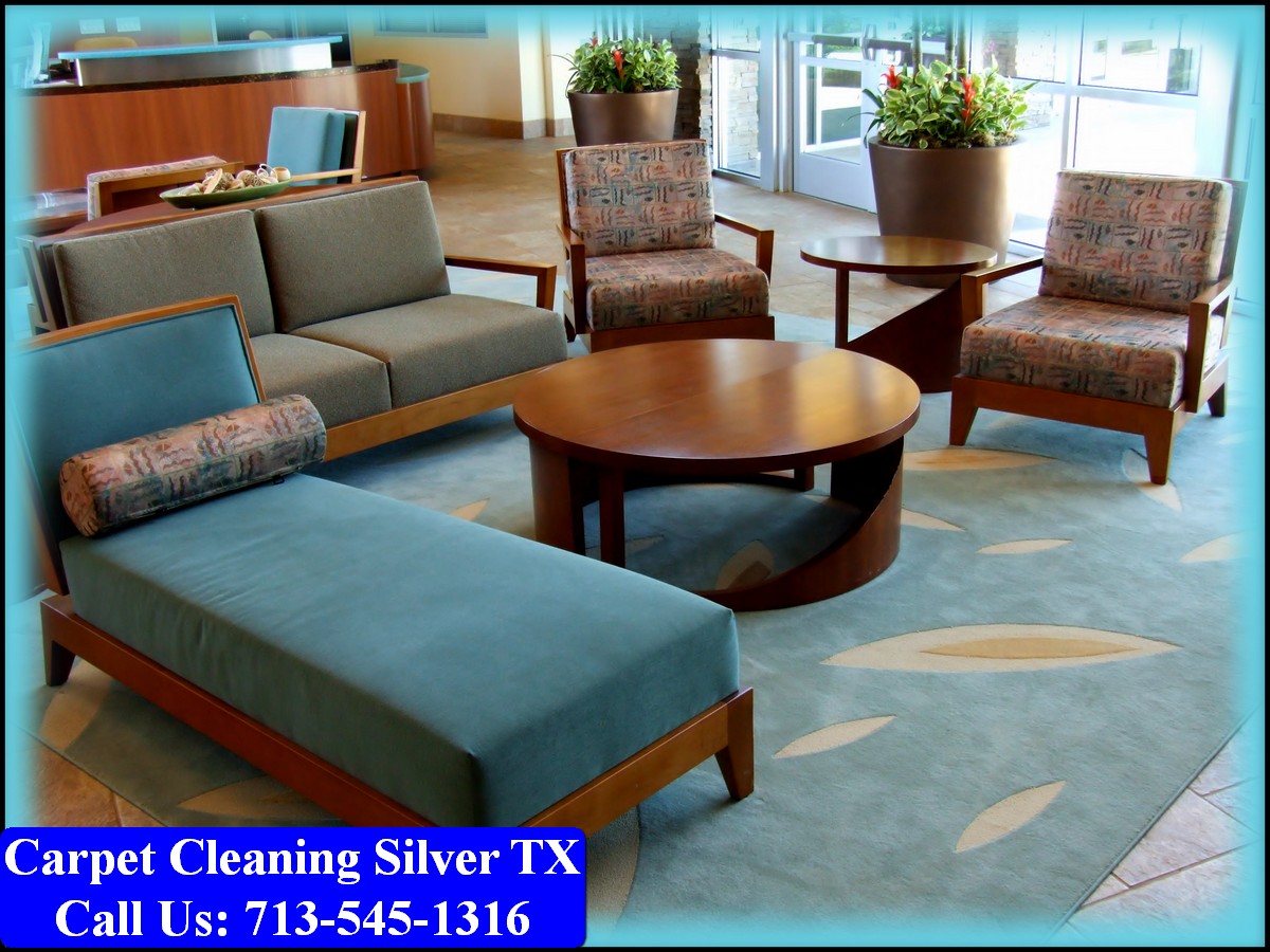 Carpet Cleaning Silver tx 076