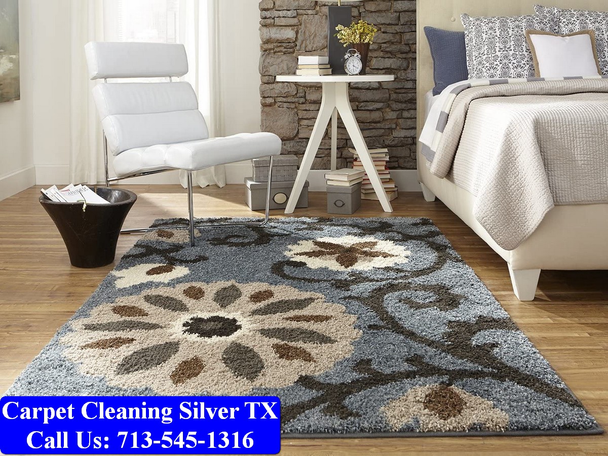 Carpet Cleaning Silver tx 037