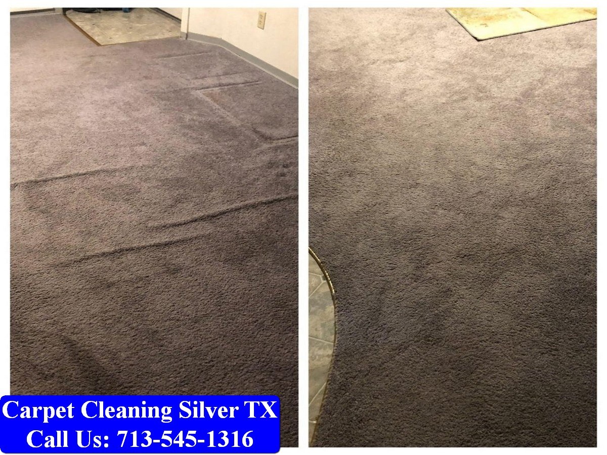 Carpet Cleaning Silver tx 068