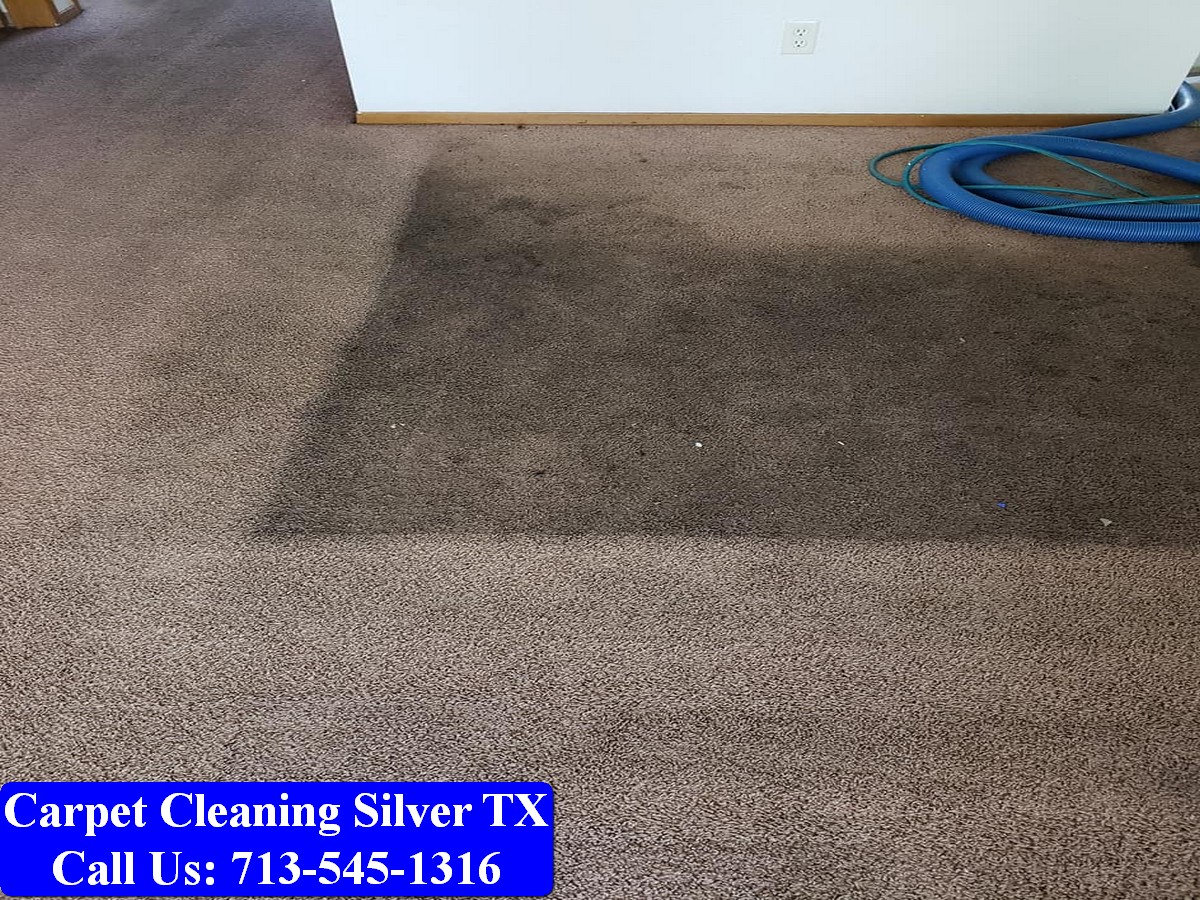 Carpet Cleaning Silver tx 056