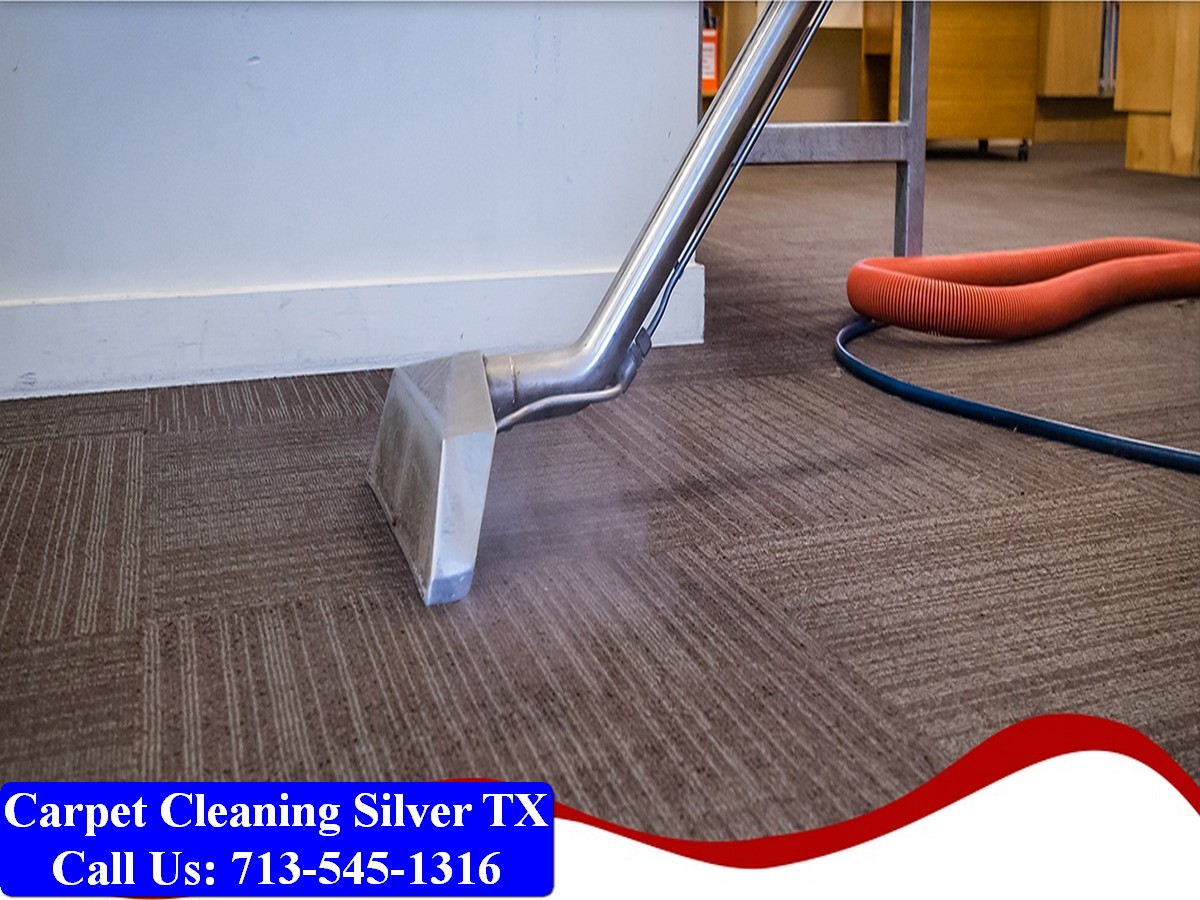 Carpet Cleaning Silver tx 036