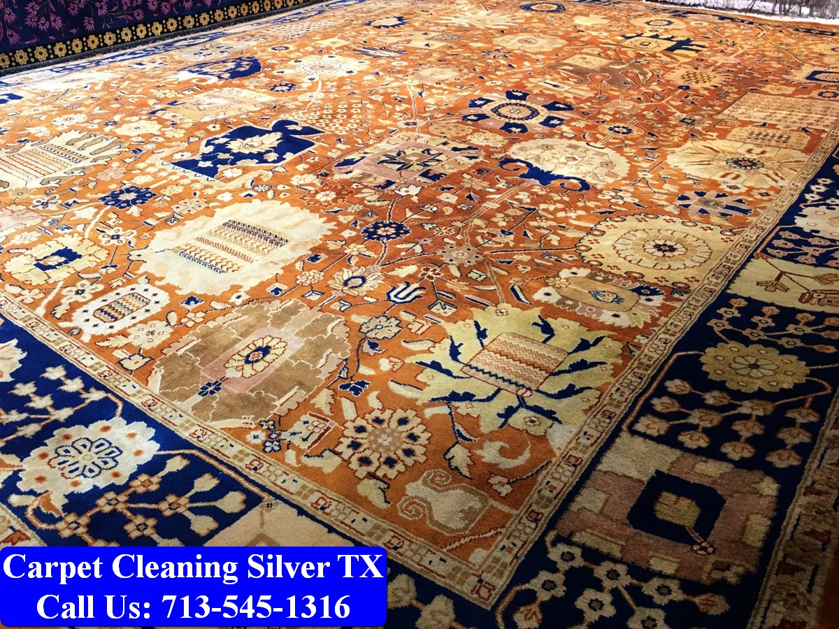 Carpet Cleaning Silver tx 027