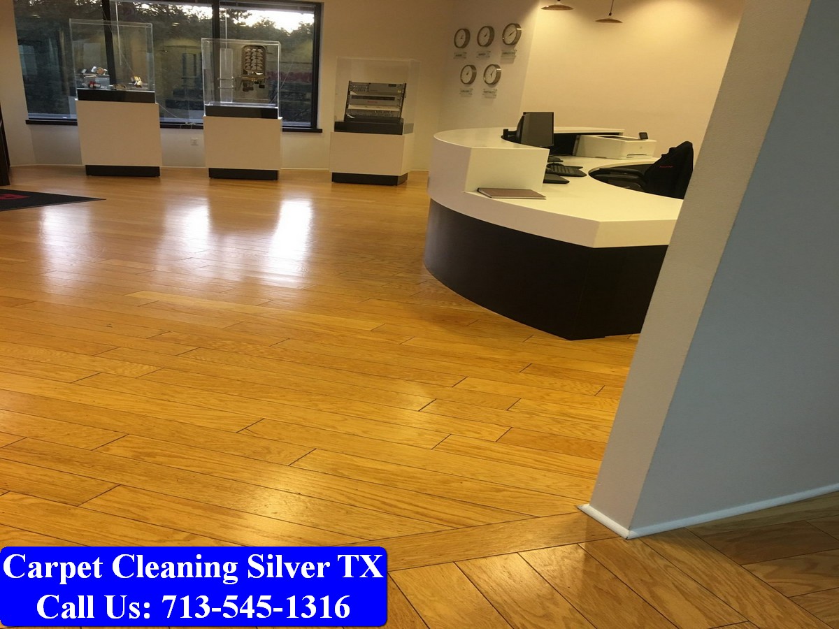 Carpet Cleaning Silver tx 075