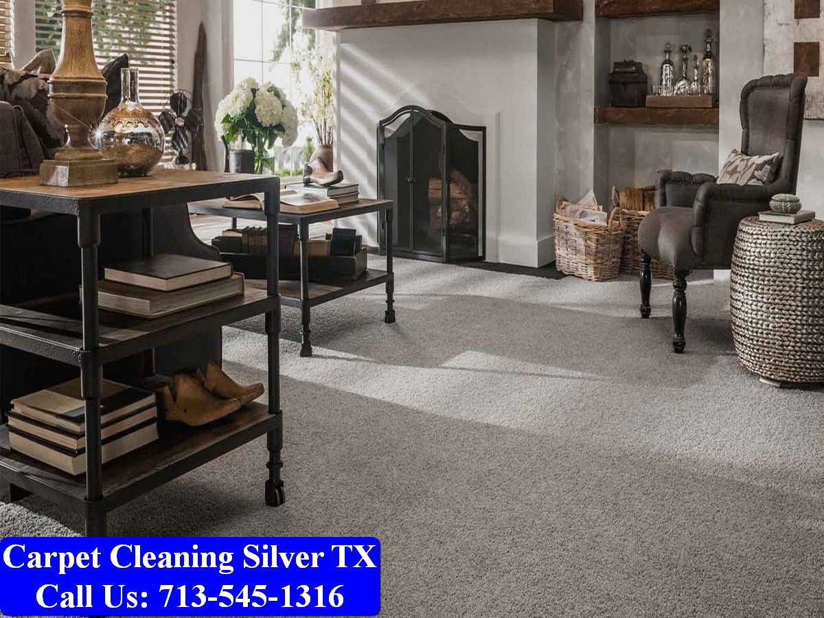 Carpet Cleaning Silver tx 048