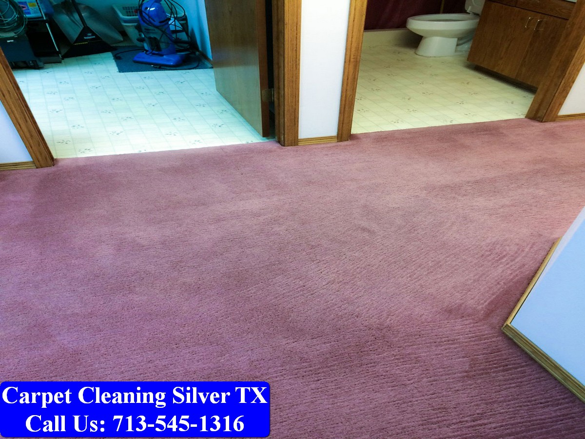 Carpet Cleaning Silver tx 026