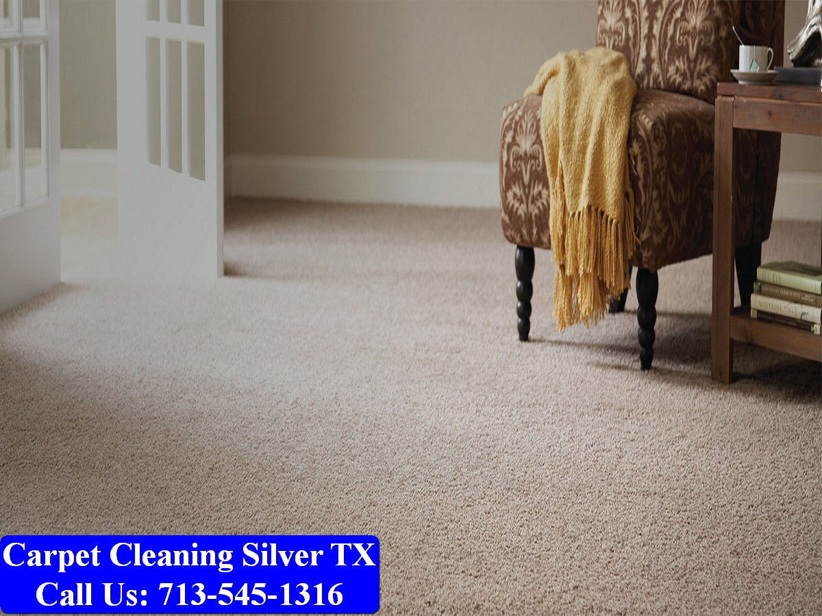 Carpet Cleaning Silver tx 055