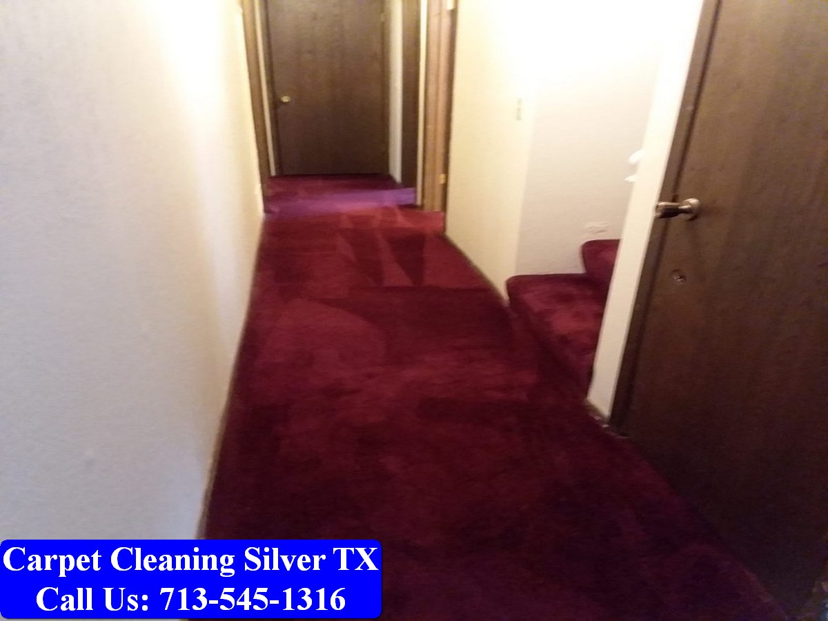 Carpet Cleaning Silver tx 020