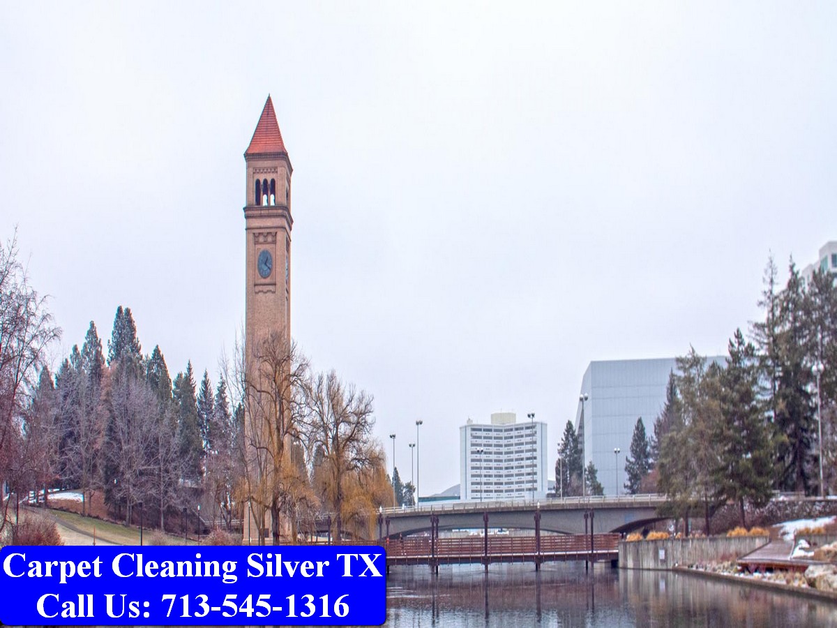 Carpet Cleaning Silver tx 044