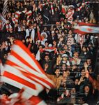 [Slika: 111530498_jpg4.jpg]