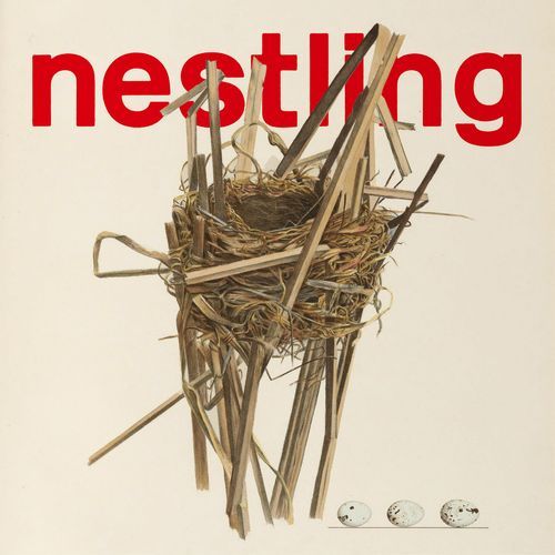 [Single] KIRINJI – nestling (2023.04.11/MP3/RAR)