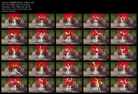 Free Image Hosting