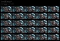 Free Image Hosting