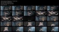 Free Image Hosting