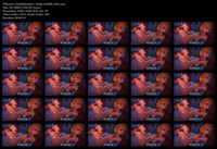Free Image Hosting