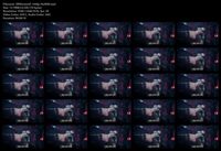Free Image Hosting