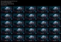 Free Image Hosting