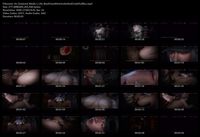 Free Image Hosting